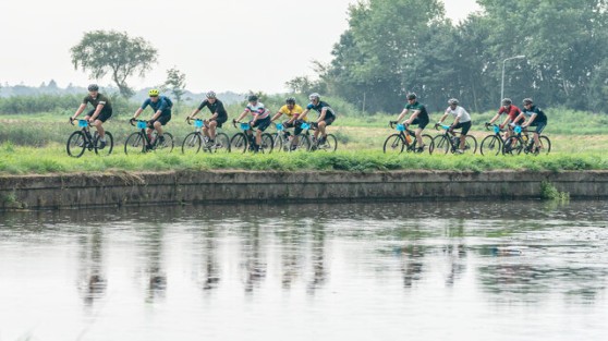 M&A Criterium