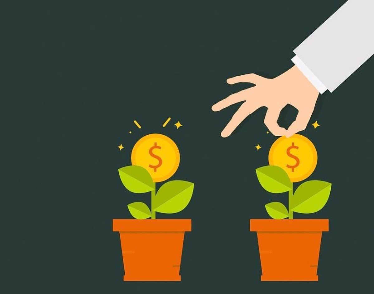 Wijs & van Oostveen neemt activiteiten InDelta over