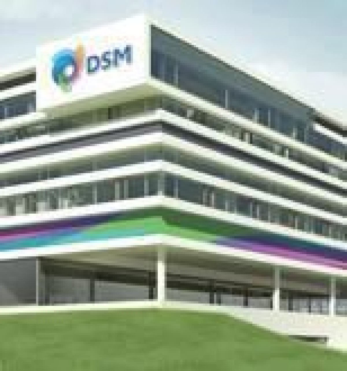 DSM bestrijdt splitsing bedrijf