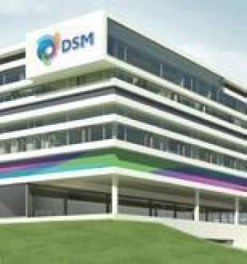 DSM bestrijdt splitsing bedrijf