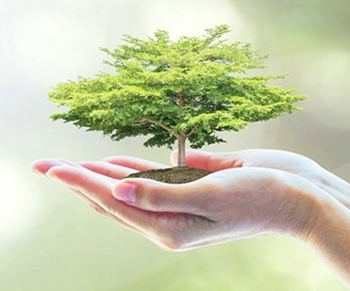 Grote beleggers zijn nog niet groen genoeg