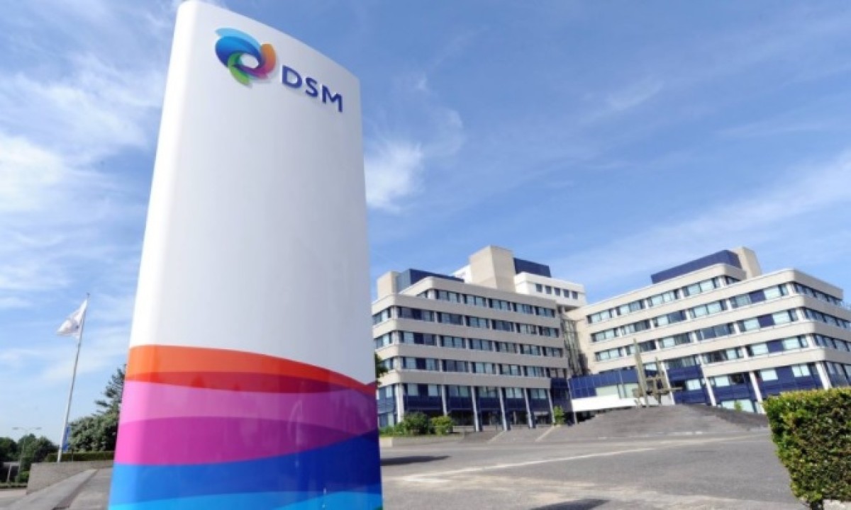 'Chinese deal DSM goede zaak'