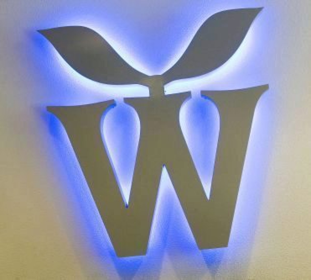 Wessanen neemt Spaanse Biogran over