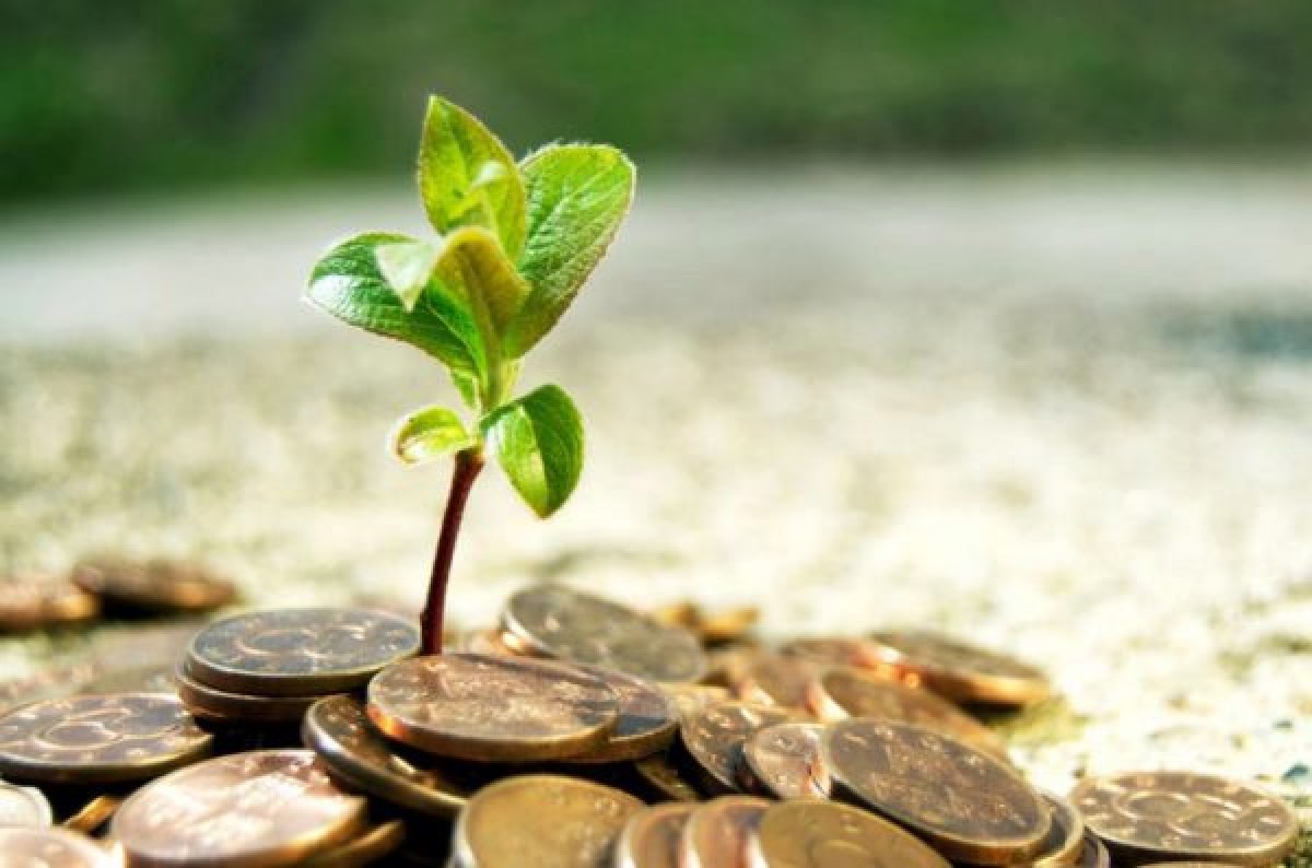 Groene investeerders vaak bij de neus genomen