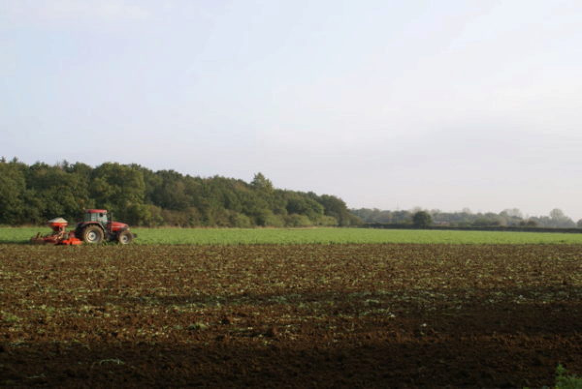 Overname OCI NV van de baan door US maatregelen tegen inversie