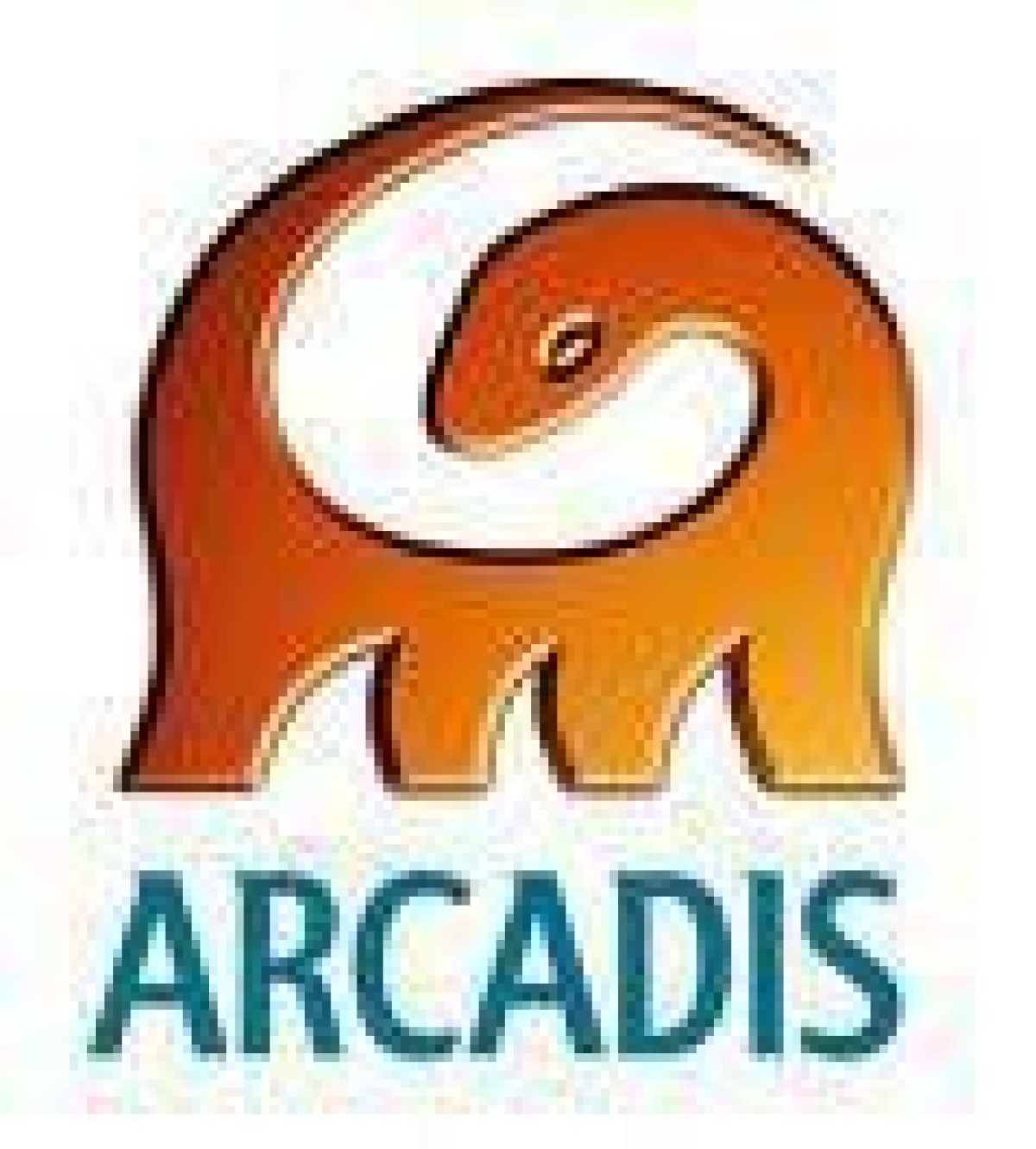 Focus Arcadis verschuift focus van overnames naar klant