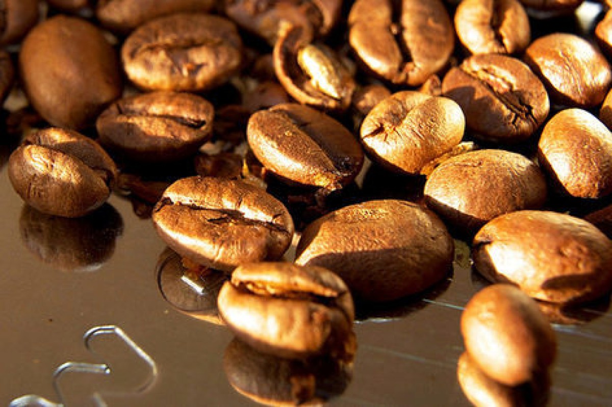 Wessanen neemt Franse koffie- en theebedrijf IneoBio over