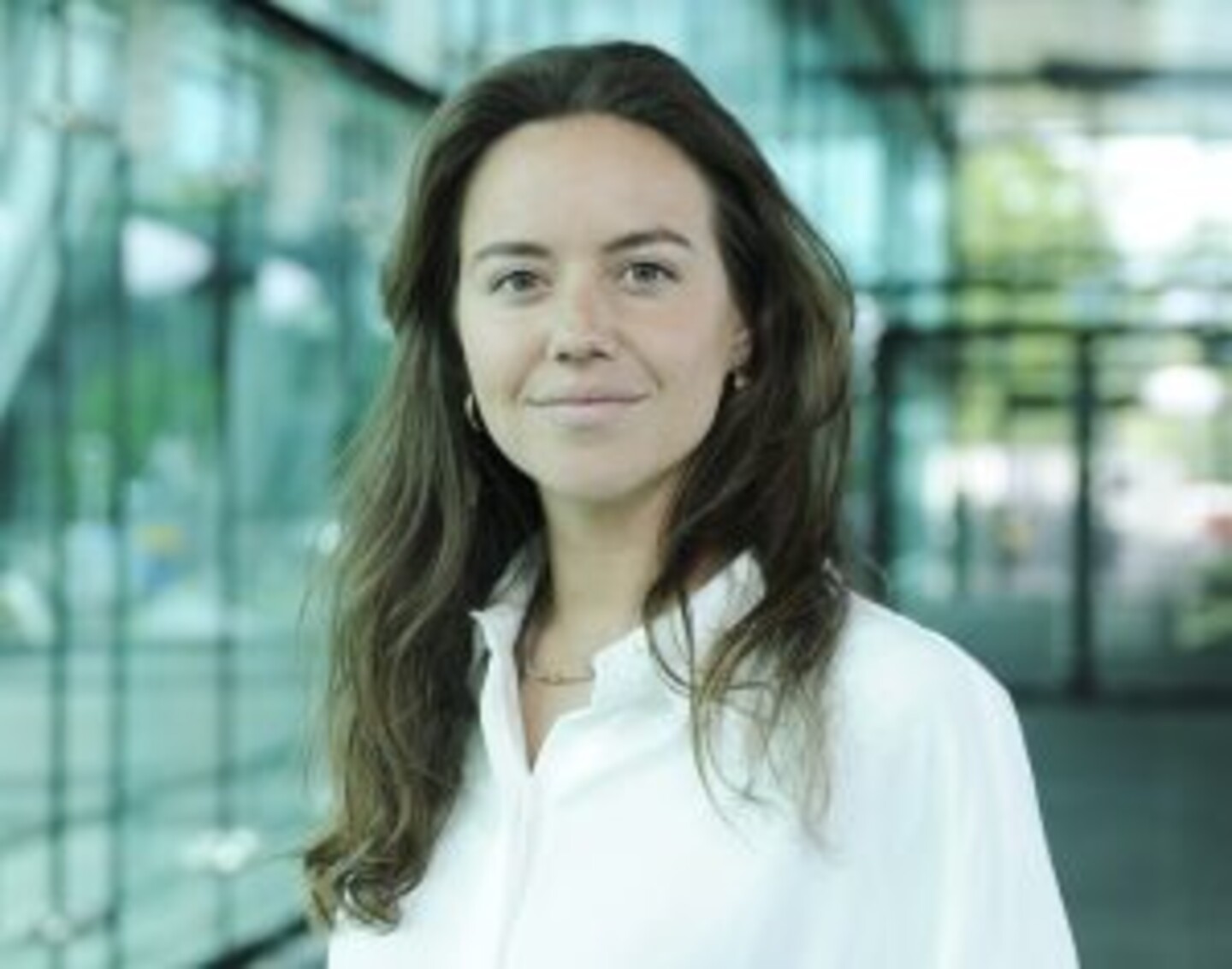 Alexandra de Klerk, Fortino Capital