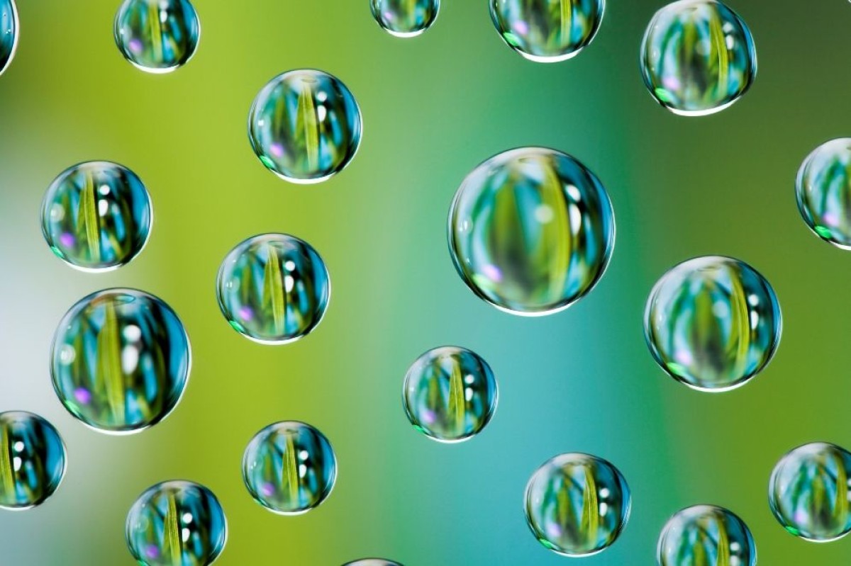 Corbion neemt belang Bunge over