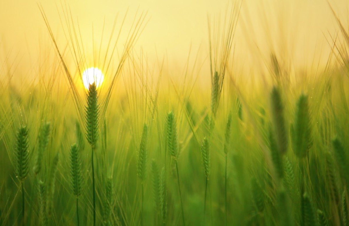 Victus bereikt fondsomvang van 90 miljoen euro