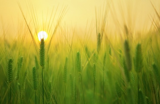 Victus bereikt fondsomvang van 90 miljoen euro