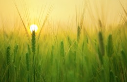 Victus bereikt fondsomvang van 90 miljoen euro