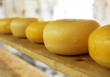 Eigenaar Leerdammer koopt Italiaanse kaasmaker