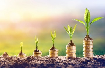 Geldmarkt voor start-ups koelt af maar blijft draaien