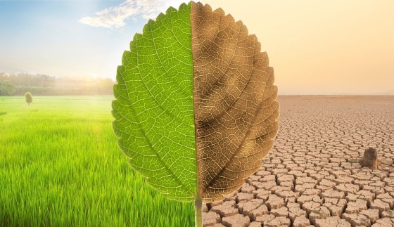 Impactbeleggen met private equity wint aan populariteit