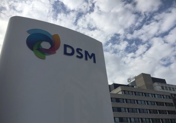 Oostenrijkers zien materialentak DSM wel zitten