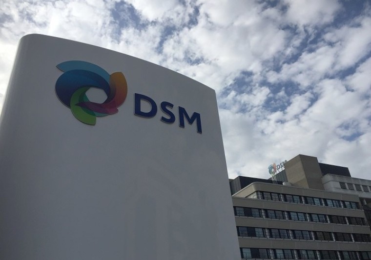 Oostenrijkers zien materialentak DSM wel zitten