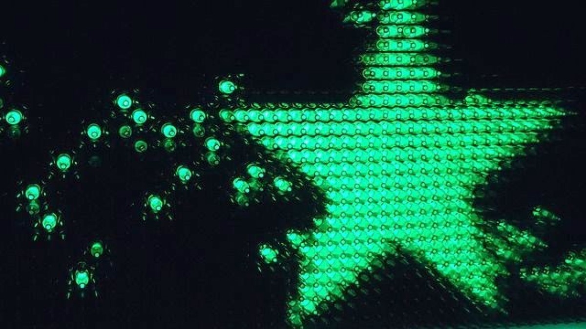 Heineken neemt bierbrouwerij in Taiwan over