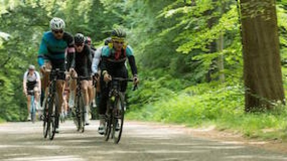 CFO en M&A Criterium i.s.m. DLA Piper