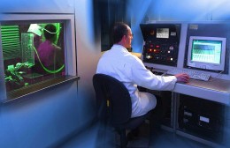 Overeenkomst tussen RoodMicrotec en Cedar Technologies