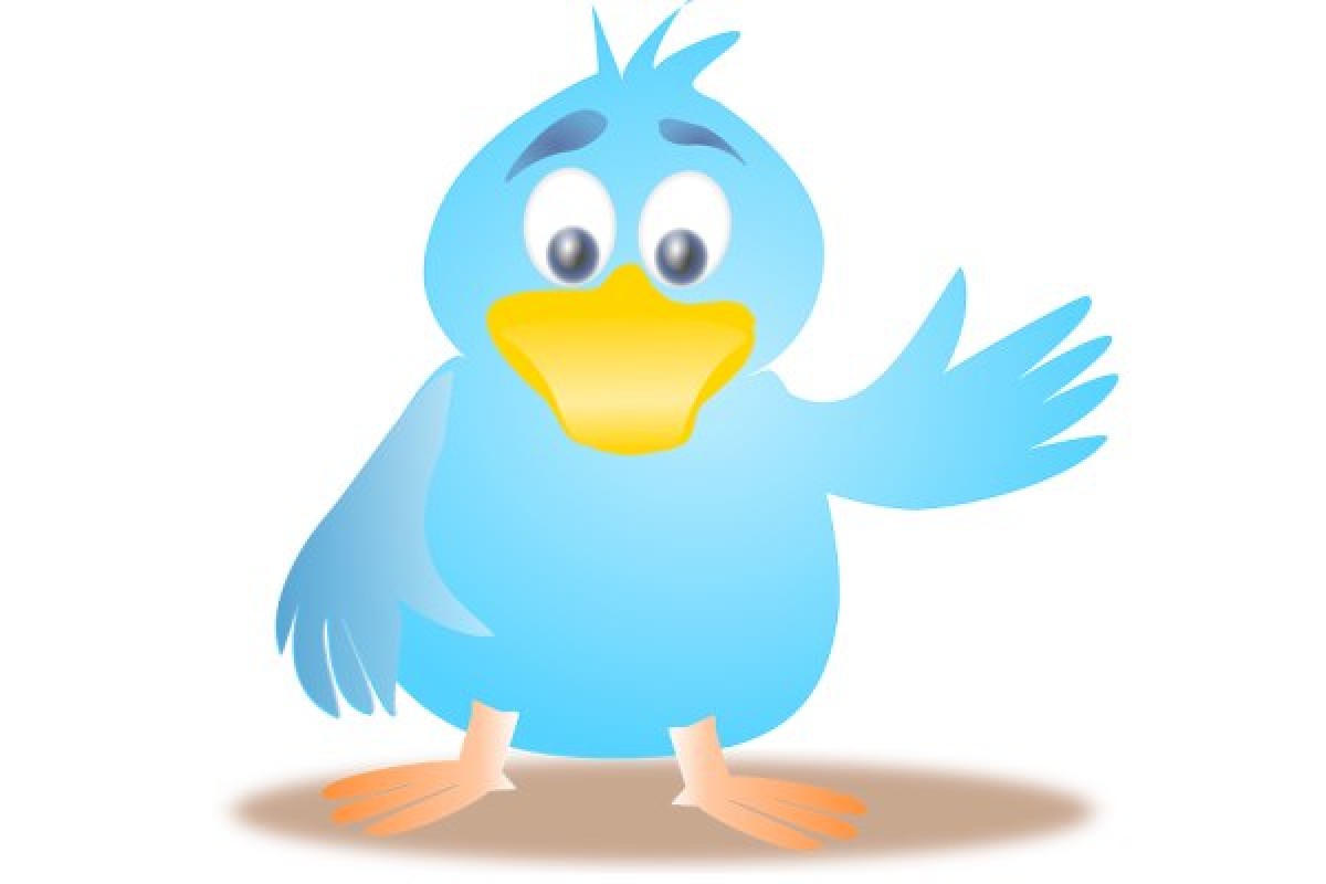 Musk: klokkenluider Twitter reden voor afzien van overname