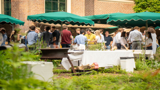 Young M&A Summer Drinks