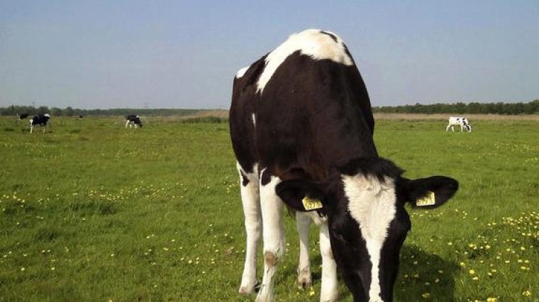 On the deal: Wat ziet het IJslandse Marel in het Gelderse MPS?