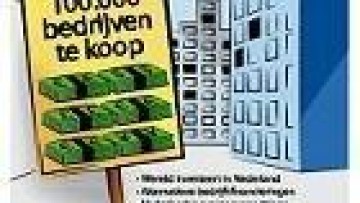 Download bijlage Financiele Telegraaf: Veel cash in de markt, wie pakt de kansen