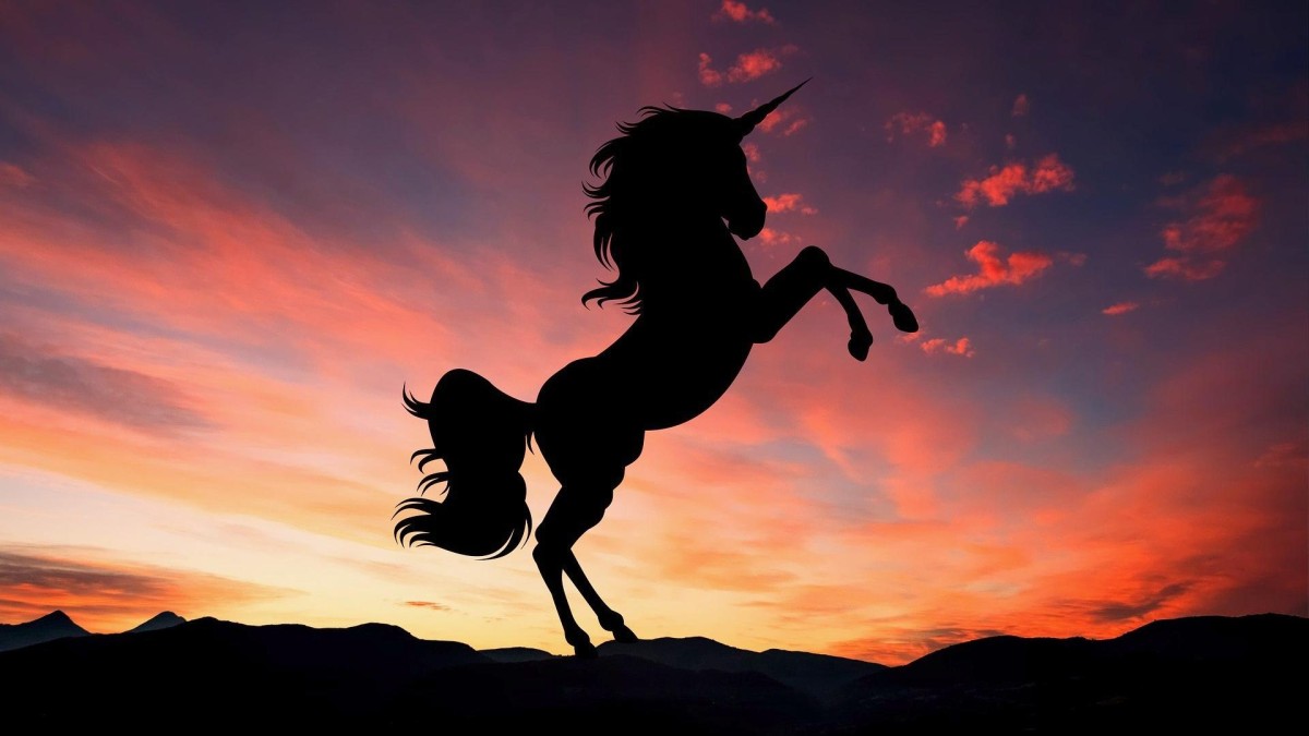 Wat wordt de volgende unicorn?