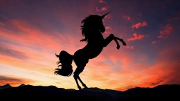 Wat wordt de volgende unicorn?