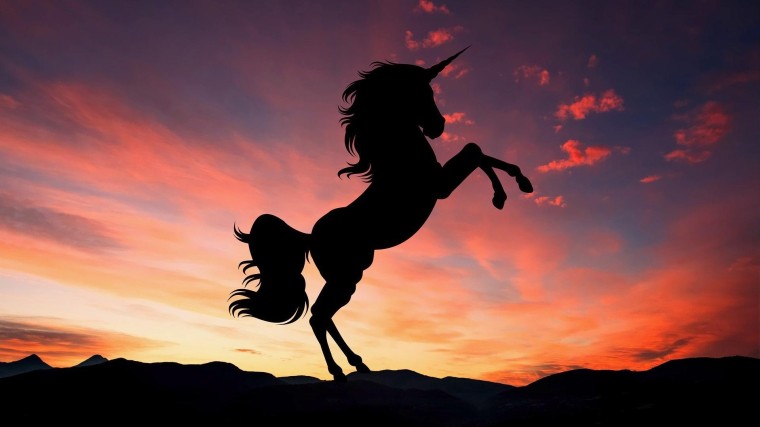 Wat wordt de volgende unicorn?