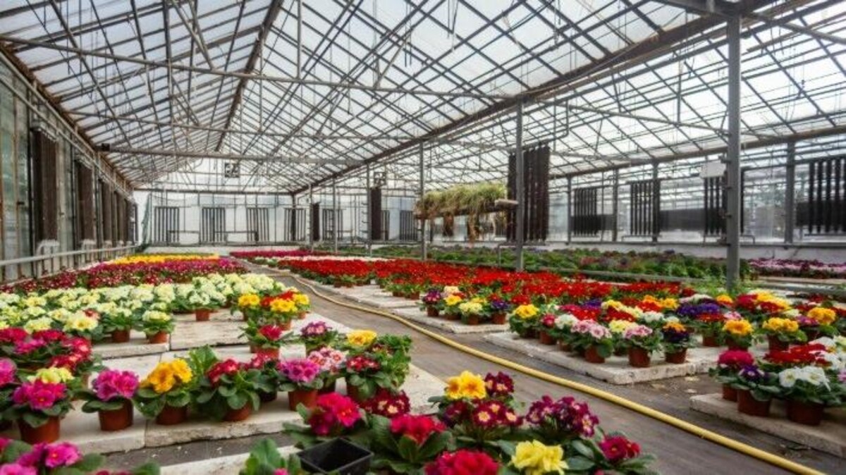 Tuinland overgenomen door Ranzijn Tuin & Dier