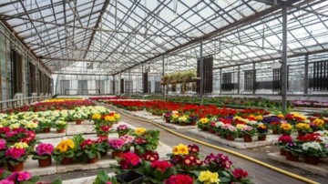 Tuinland overgenomen door Ranzijn Tuin & Dier