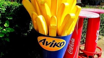 Aviko neemt Spaanse patatfabrikant volledig over