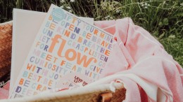 DPG verkoopt het tijdschrift Flow aan Belgisch uitgever