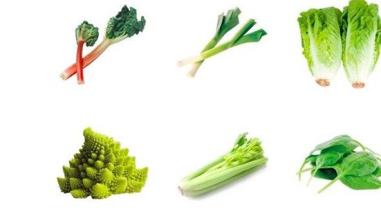 Van Dijck Groenteproductie sloeg slag met Mezzanine