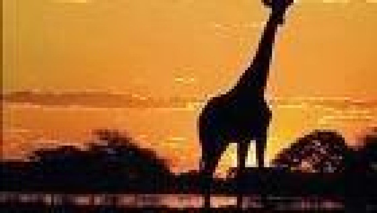 Linklaters sluit alliantie met Webber Wentzel voor Afrikaanse deals