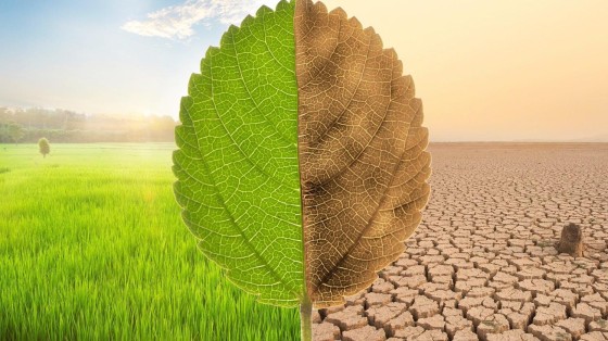 SHIFT Invest voltooit Nederlands grootste impact VC fonds