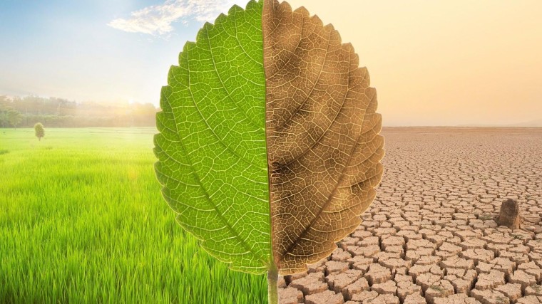 SHIFT Invest voltooit Nederlands grootste impact VC fonds