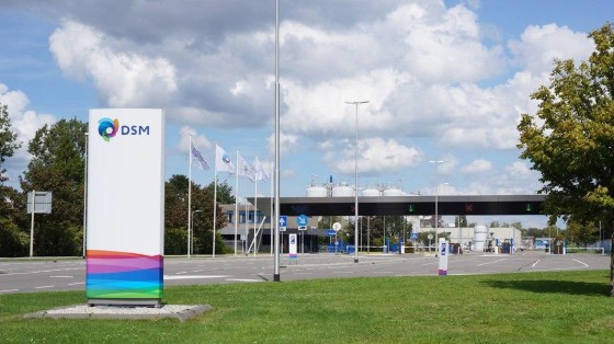 DSM neemt het Noorse Vestkorn Milling over