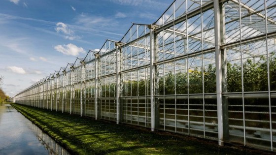 Amsterdams AI-bedrijf voor de tuinbouw haalt 15 miljoen op