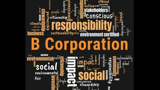 Karmijn Kapitaal ontvangt B Corp-certificering