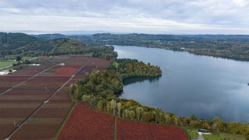 Van Lanschot Kempen breidt farmlandportefeuille uit