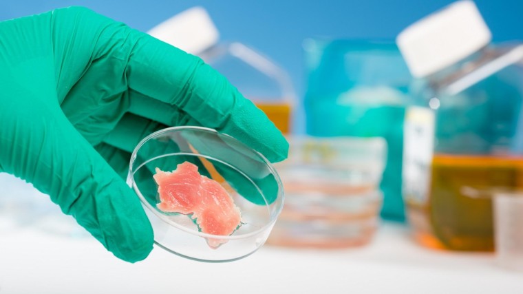 Investeren in kweekvlees en de rol van de M&A-advocaat