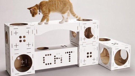 Poopy Cat in handen van eigenaar Pets Place