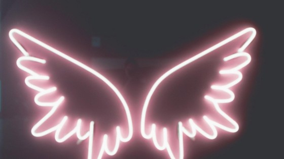 Wayflyer haalt 150 miljoen dollar op