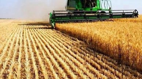 Aziatische kopers azen op Food & Agri-sector