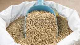 Agrifirm verkoopt Duitse diervoederfabriek