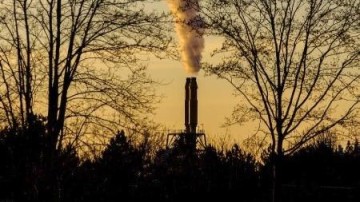 Beoordeling investeerders ten tijde van crisis