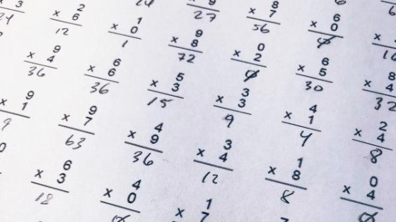 TestGorilla haalt geld op voor investering in Nederlandse markt